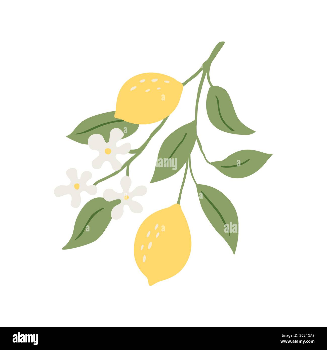 Vector drawing lemon tree branch with fruits,flowers and green leaves isolated at white background Stock Vector