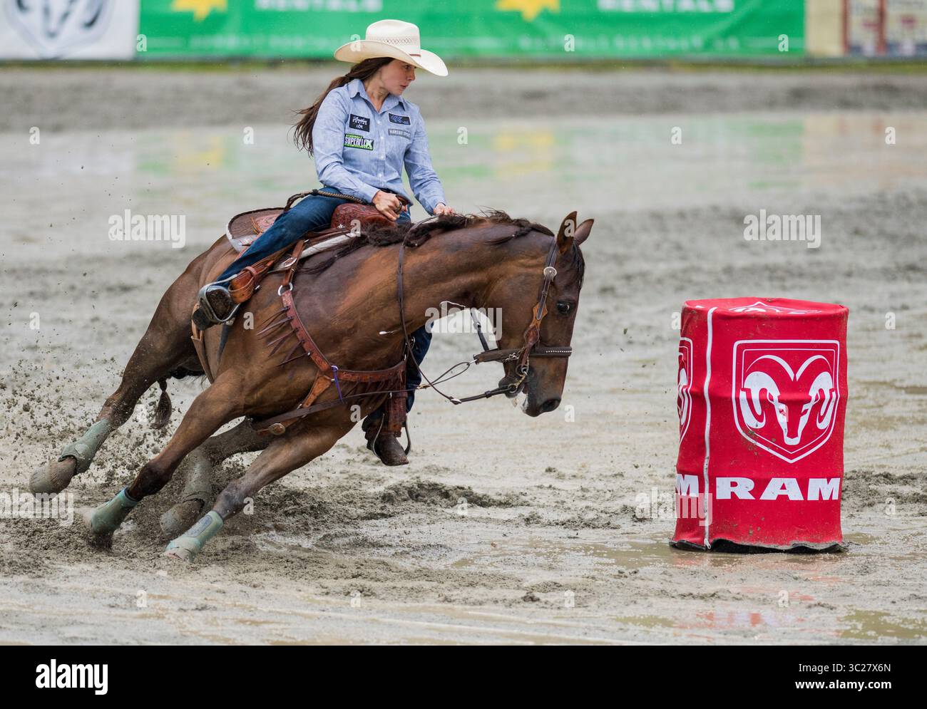 Surry Rodeo Rides Sydney daines hi-res stock photography and images - Alamy