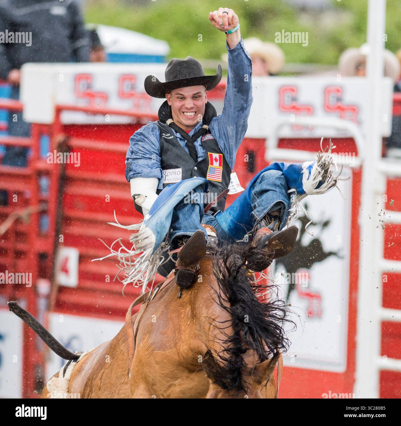 Éperons Homme AJ Tack Bucking Bronc Gravés Couleur Marron (neufs)