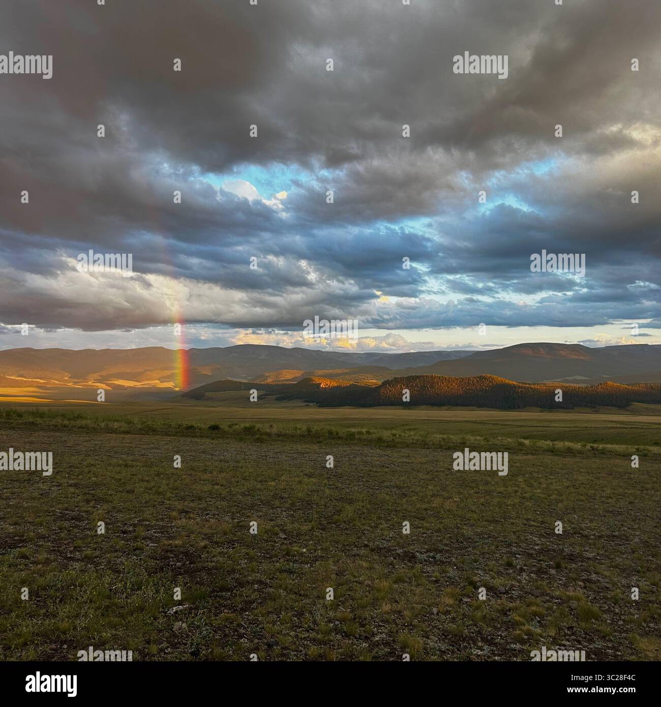 A vibrant, arcing rainbow prominently stretches across a sweeping, undulating landscape. The foreground features an expansive, grassy field with earth. - Smartphone Captured Stock Image