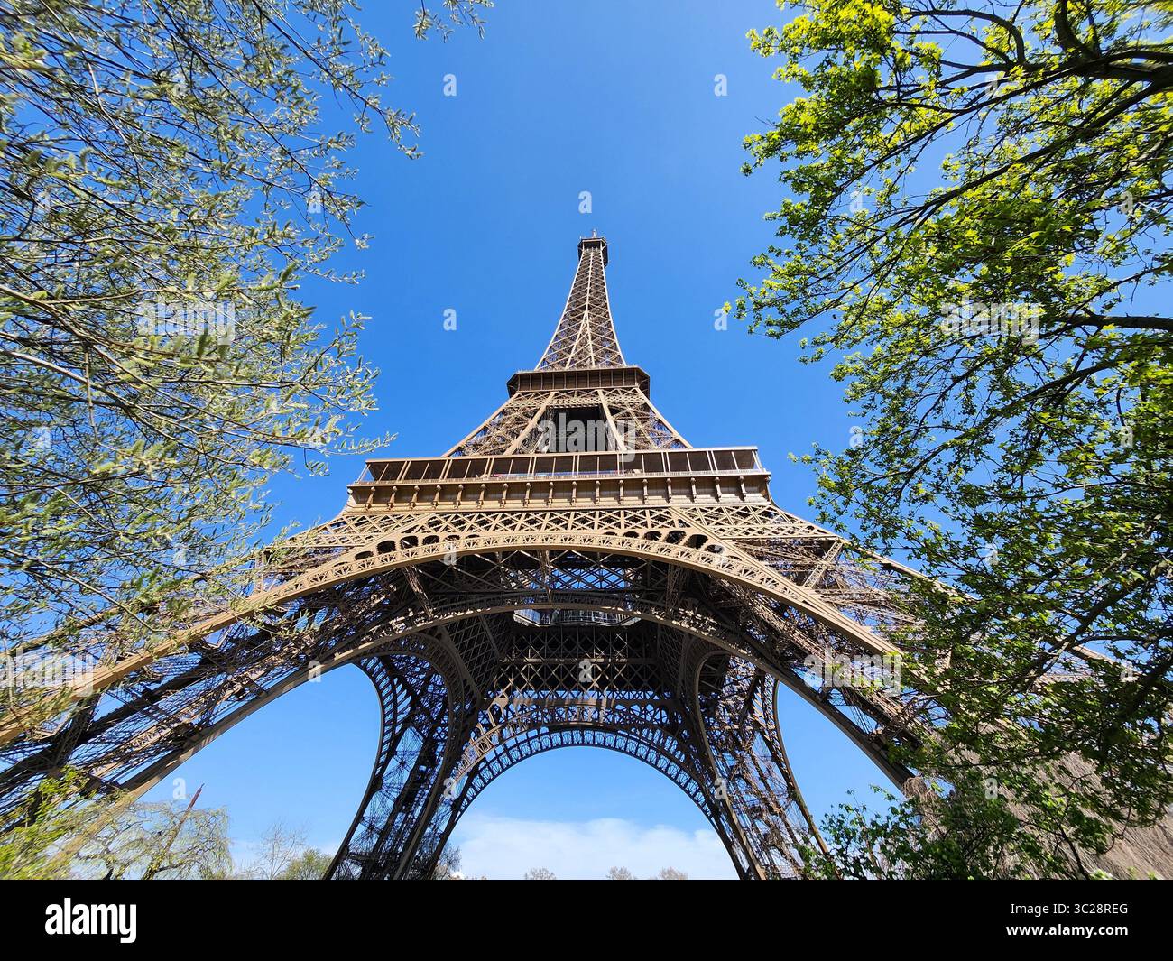 eiffel tower through trees Stock Photo