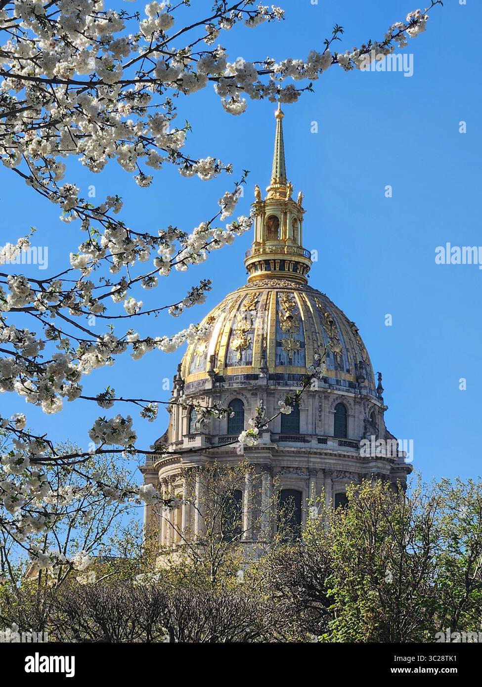 napoleons tomb with flowers Stock Photo