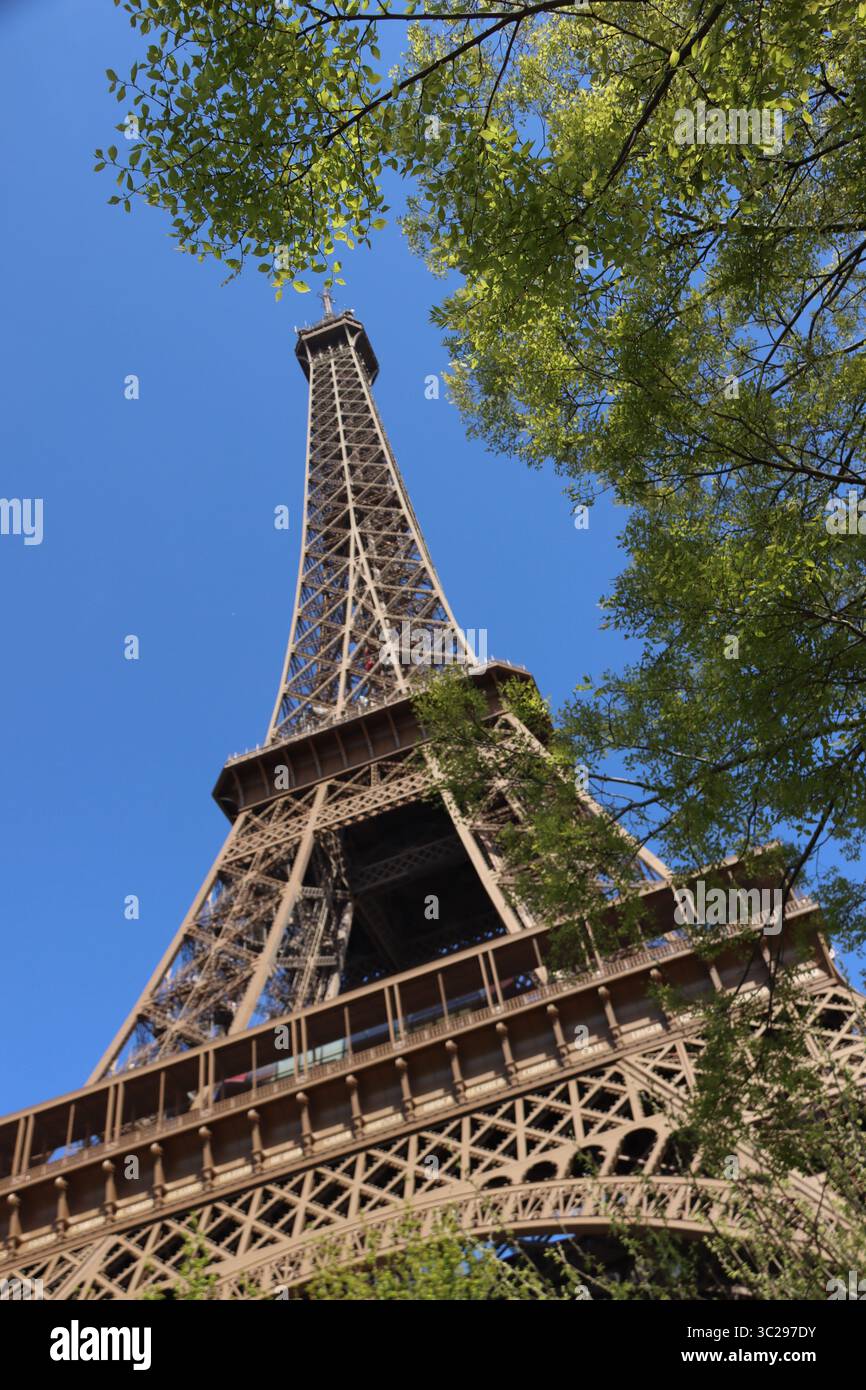 eiffel tower through trees Stock Photo