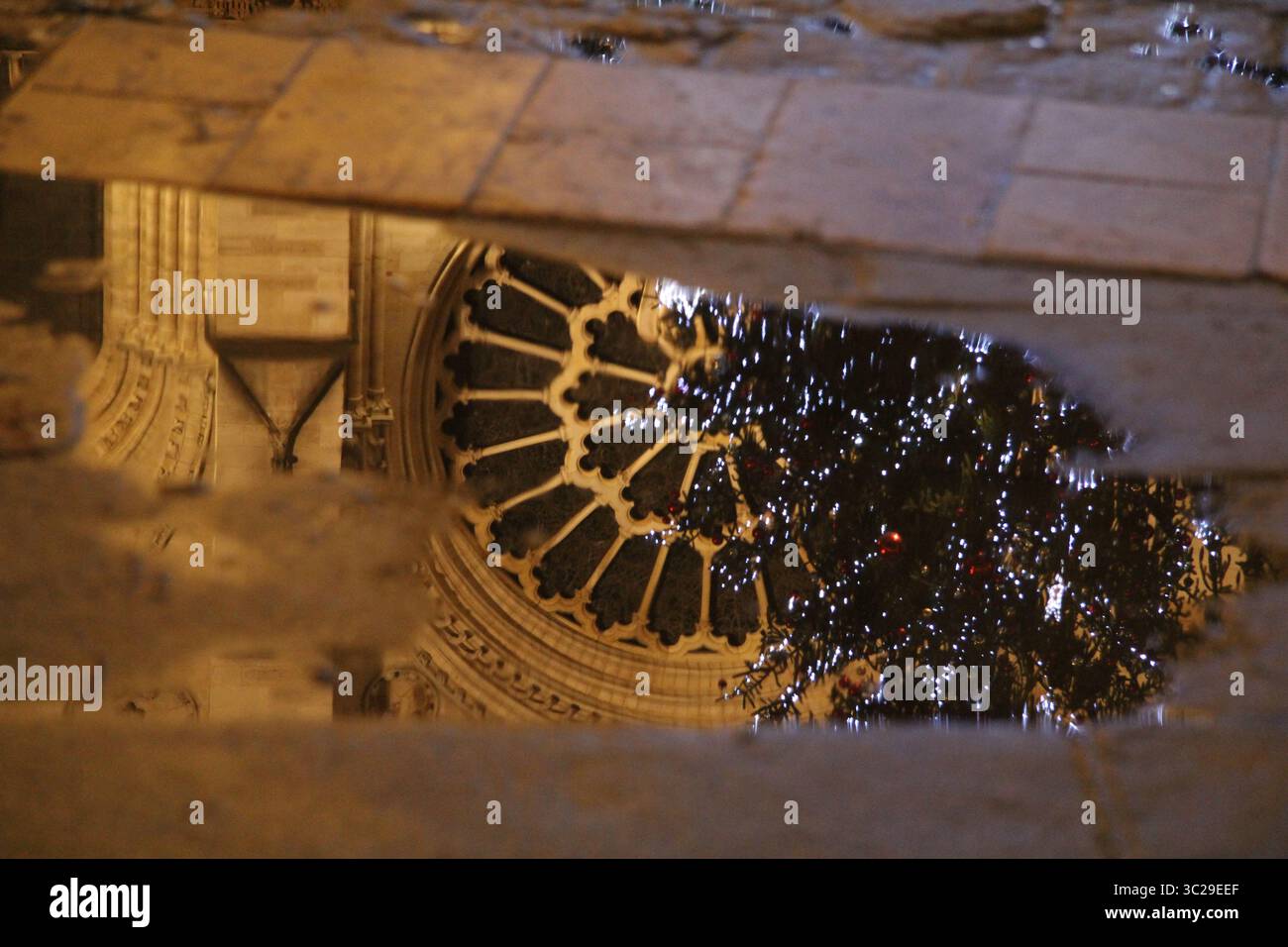 notre dame reflected in a puddle Stock Photo