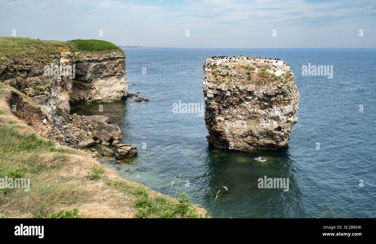 Marsden Rocks Stacks Clifftop view of Seastack near Marsden Rock and Sunderland. The stack ...