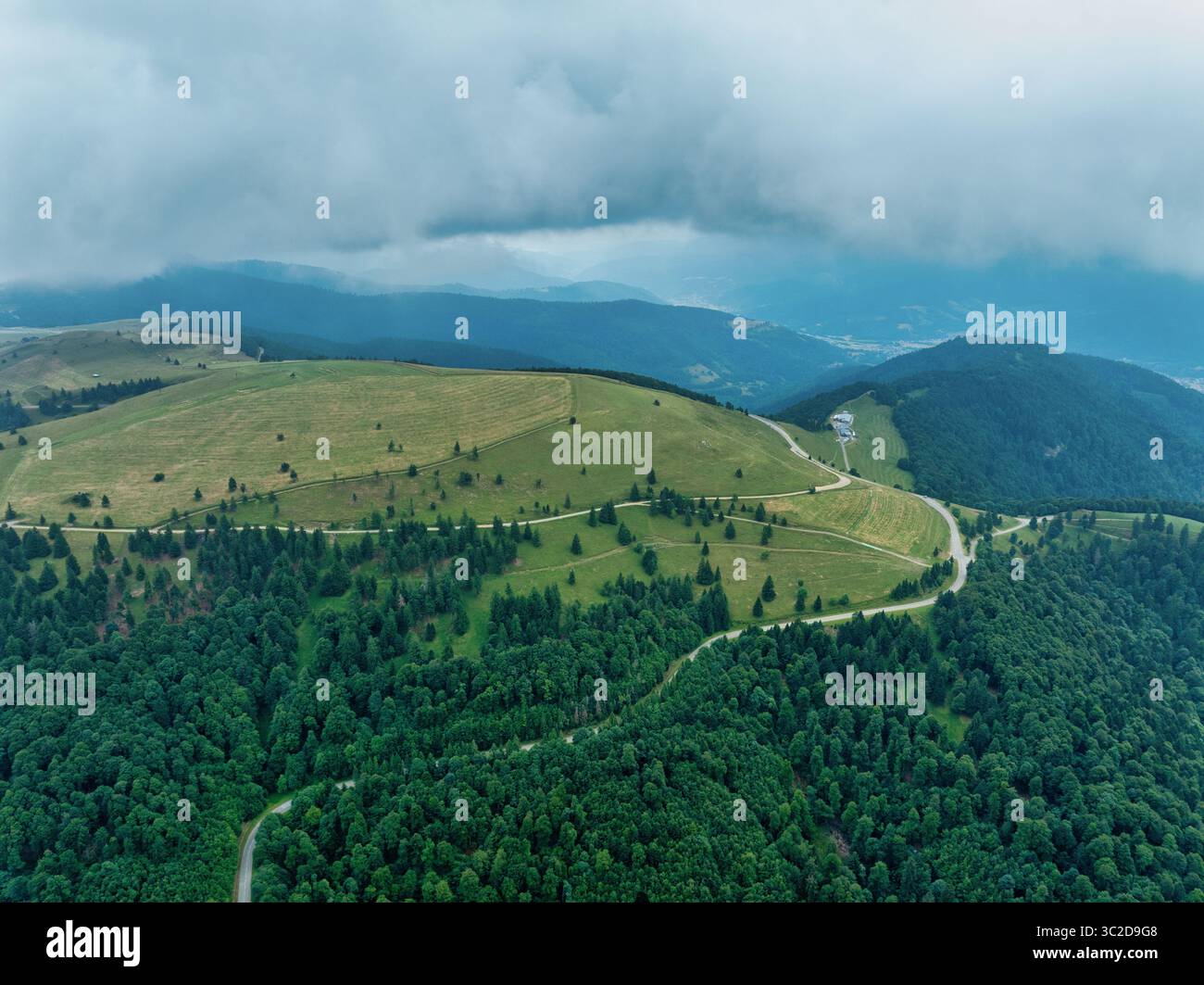 Aerial view of lush green forests meeting open, grassy hills under a ...