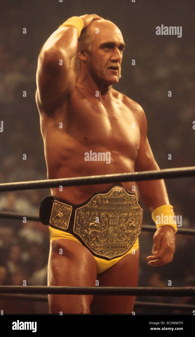 file-photo-hulk-hogan-has-