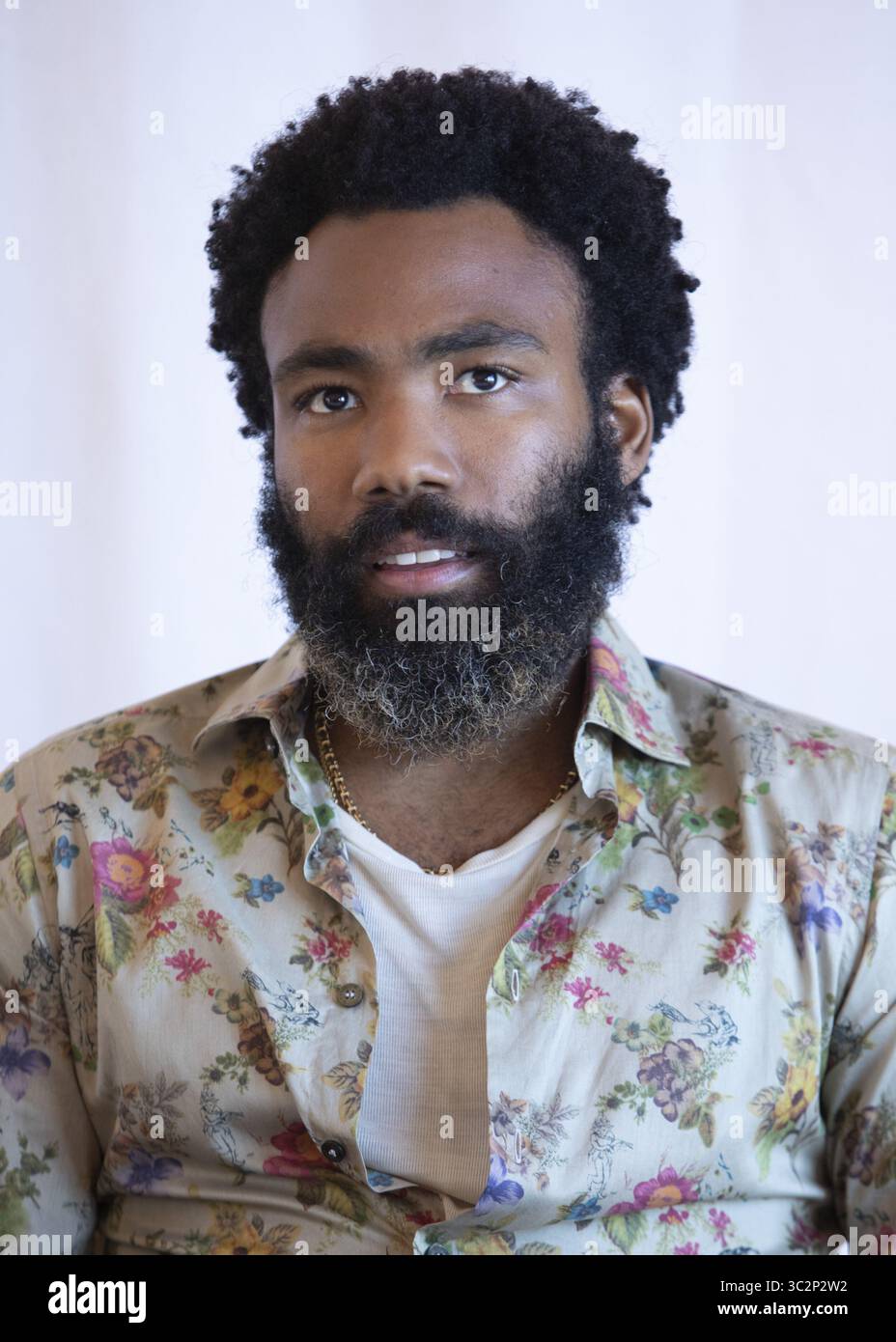 July 10, 2019, Hollywood, California, USA: Actor, singer, musician ...