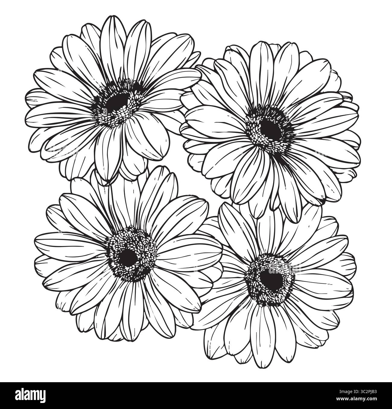 beautiful monochrome, black and white daisy flower isolated Stock Vector