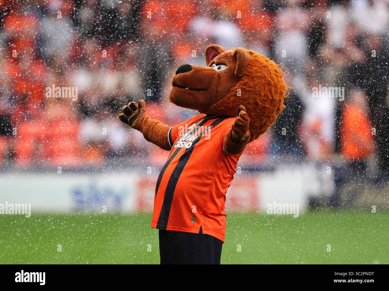 Dundee United Mascot Hi res Stock Photography And Images Alamy