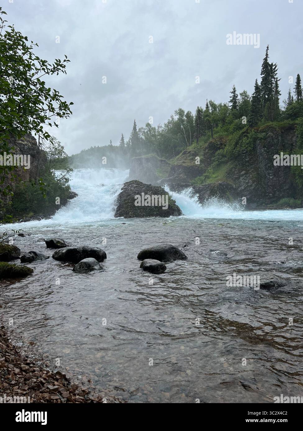 Powerful waterfall rapids at Lake Clark National Park, Alaska, surrounded by lush forest under an overcast sky. Untamed wilderness beauty in Alaska... - Smartphone Captured Stock Image