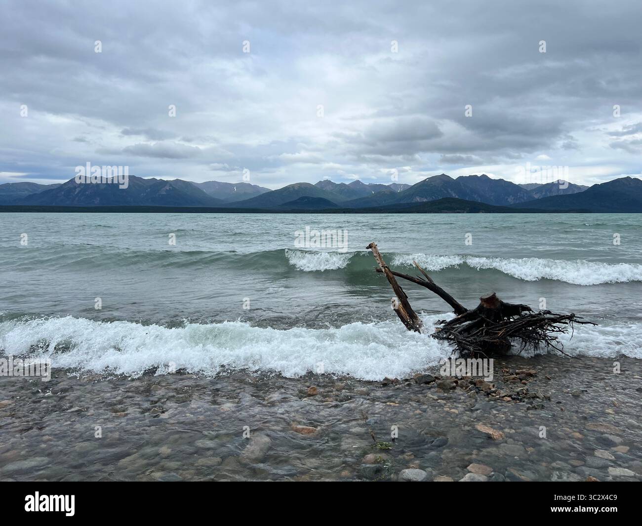 Rugged shoreline of Lake Clark National Park Alaska with breaking waves, driftwood, and majestic mountains under an overcast sky. Wild Alaskan beauty - Smartphone Captured Stock Image