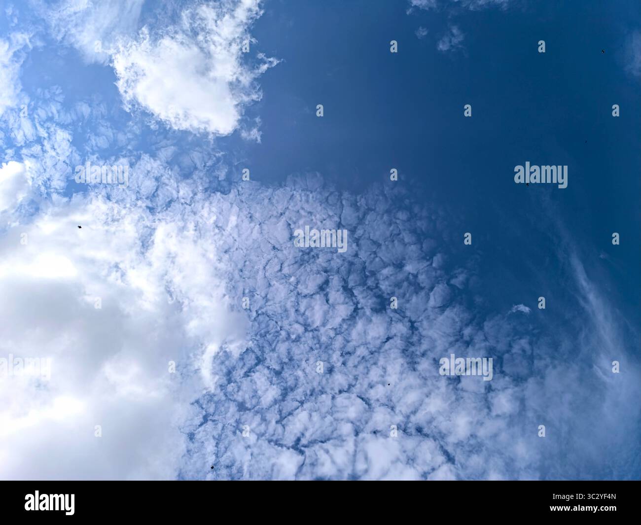 White cloud texture with bright blue sky Stock Photo