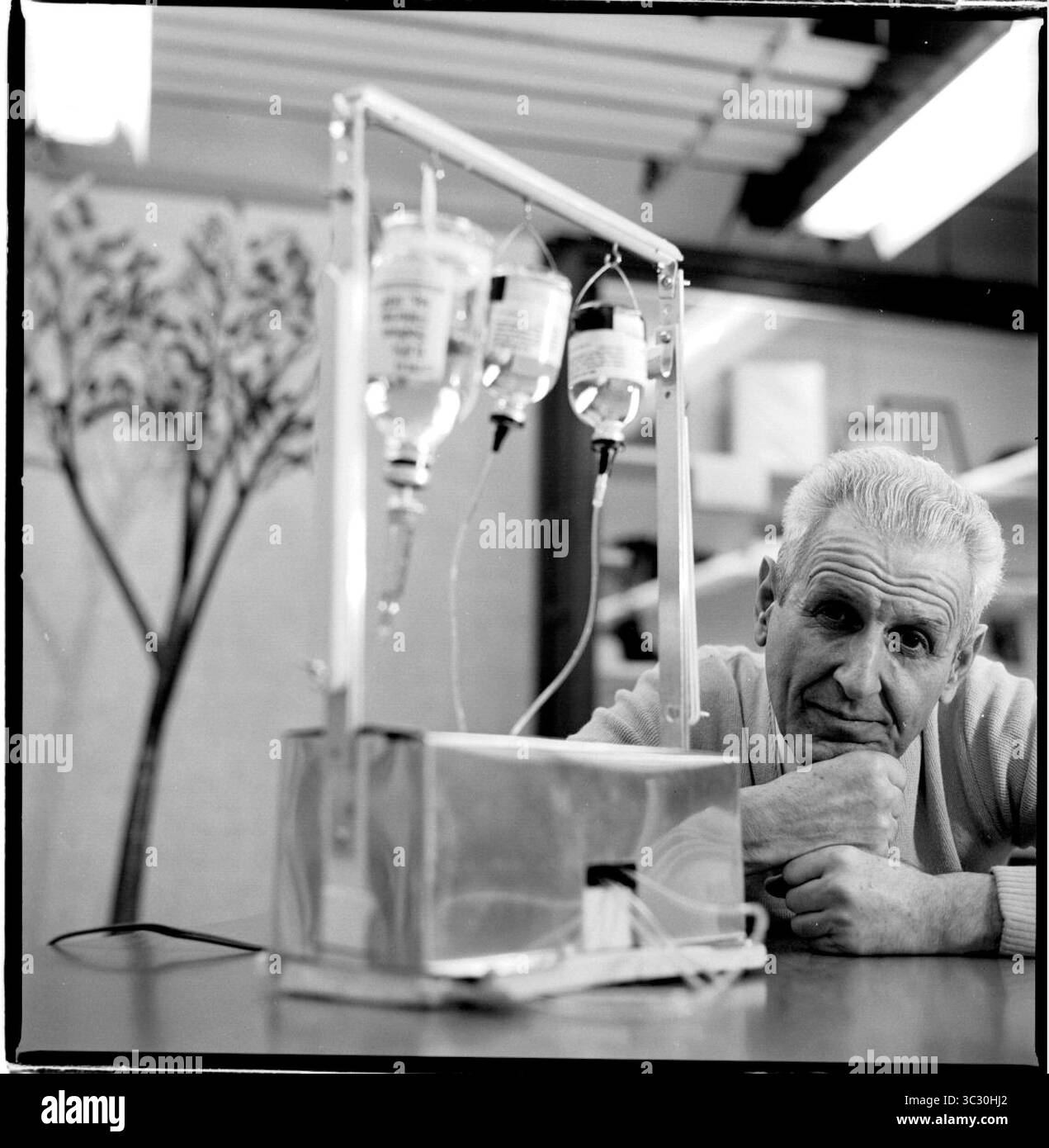 Cult Collectibles - True Crime, Cults, and Murderabilia, image size:1271x1390