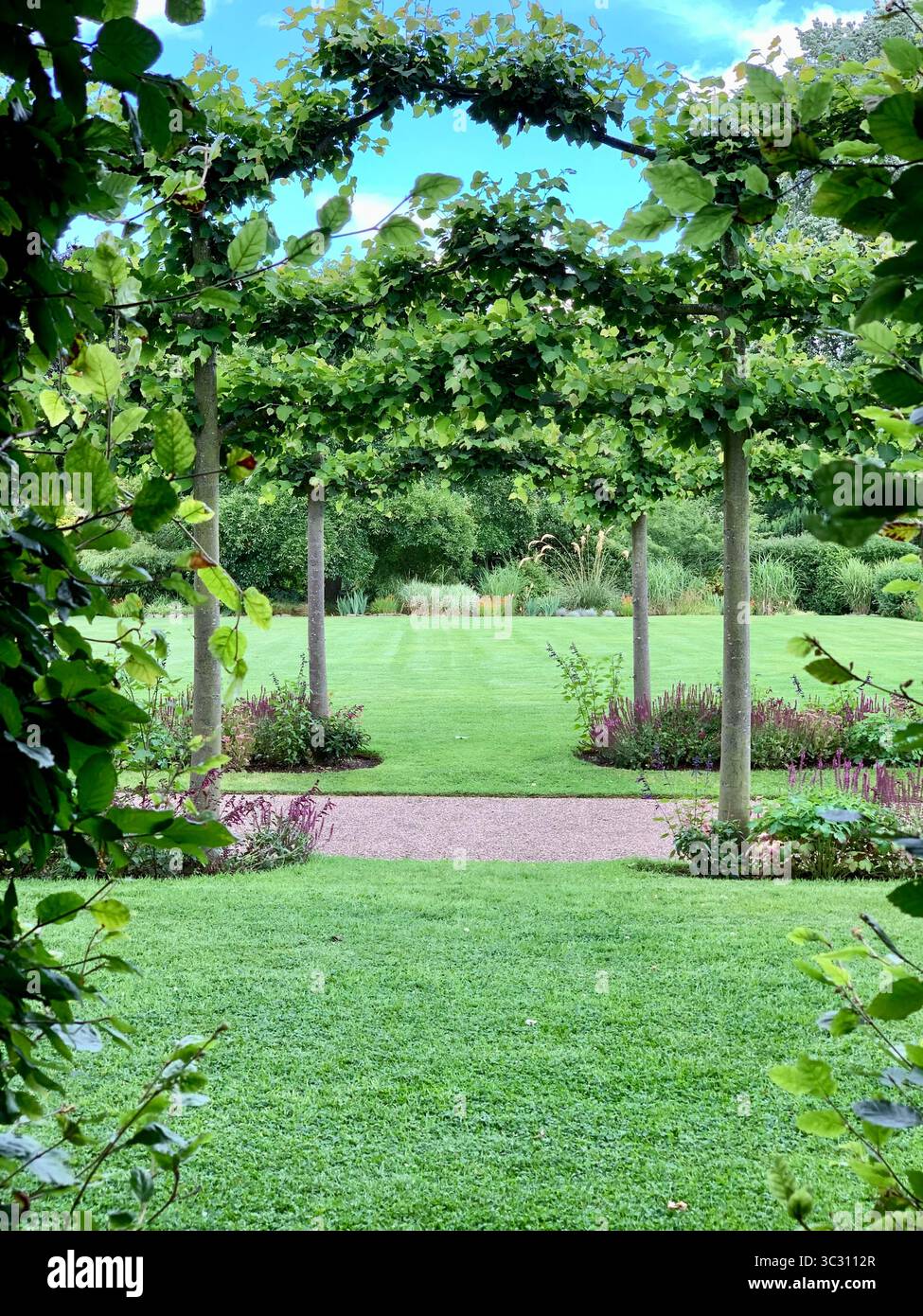 Path in the garden - Smartphone Captured Stock Image