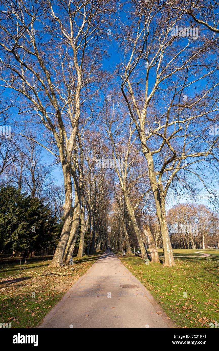 Morning Stroll Through Castle Garden in Stuttgart, Germany, on a Summer ...