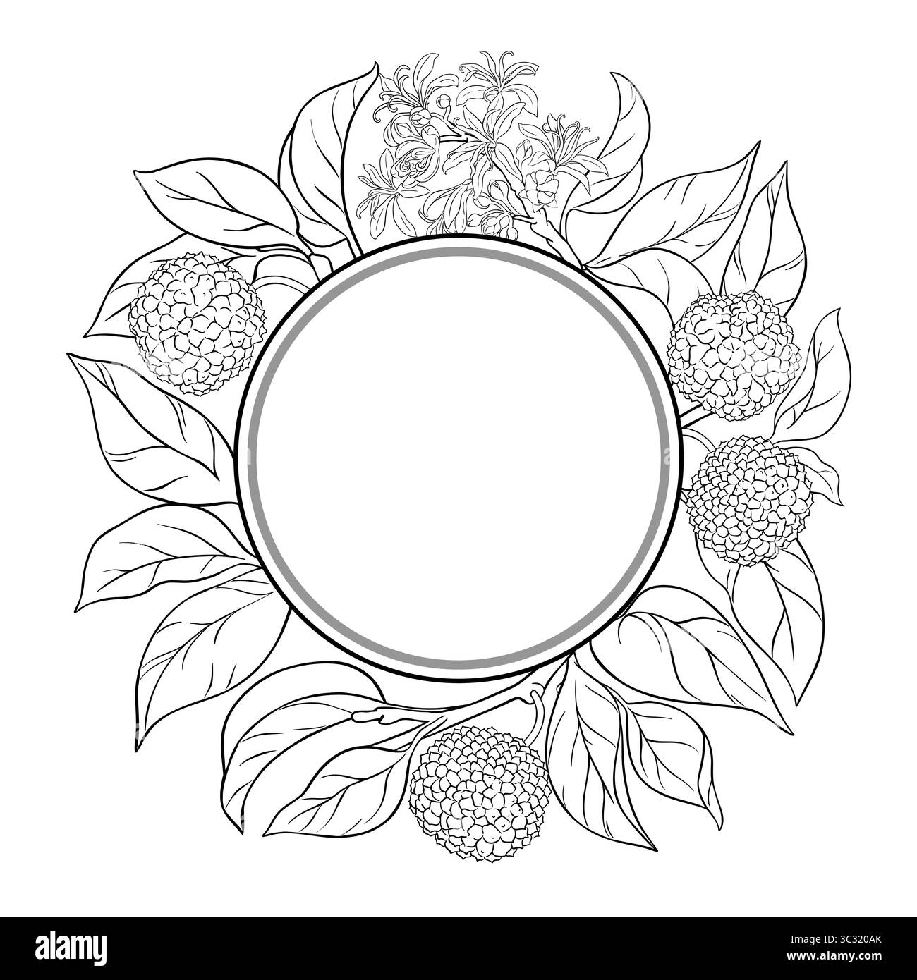 Calodendrum Branch Outline Round Frame. Stock Vector