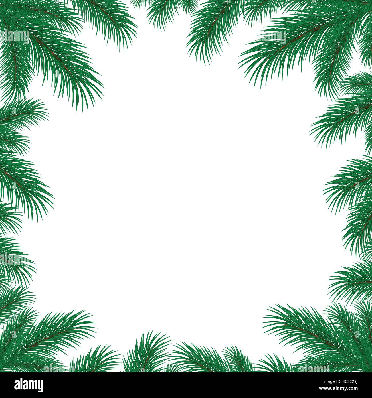 The square frame with branches of pine tree. Stock Vector