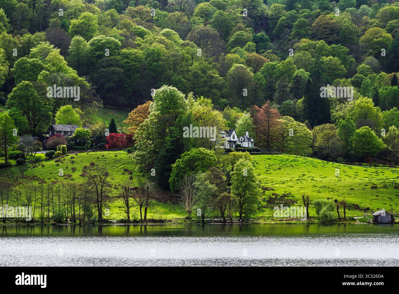 Grasmere Lake, Grasmere, Ambleside, Lake District, Westmorland, Cumbria, England Stock Photo