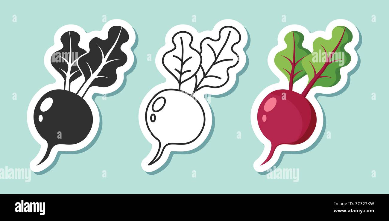 Beetroot vegetable with leaves sticker icon set collection in flat ...