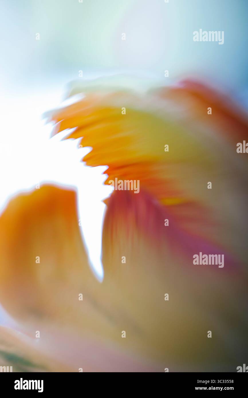 Background of Painterly Abstract Flowers Stock Photo