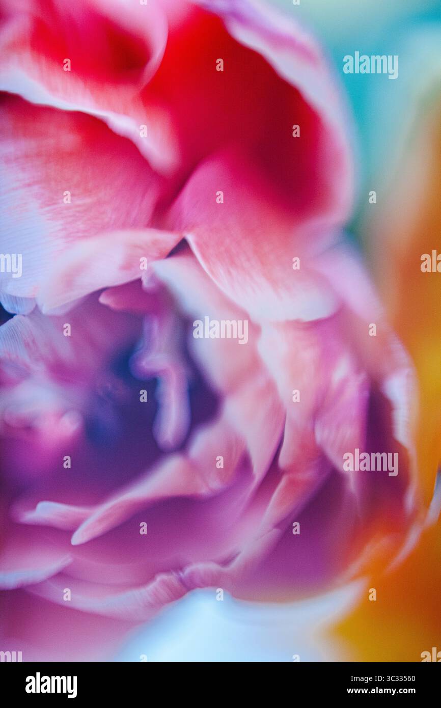 Background of Painterly Abstract Flowers Stock Photo
