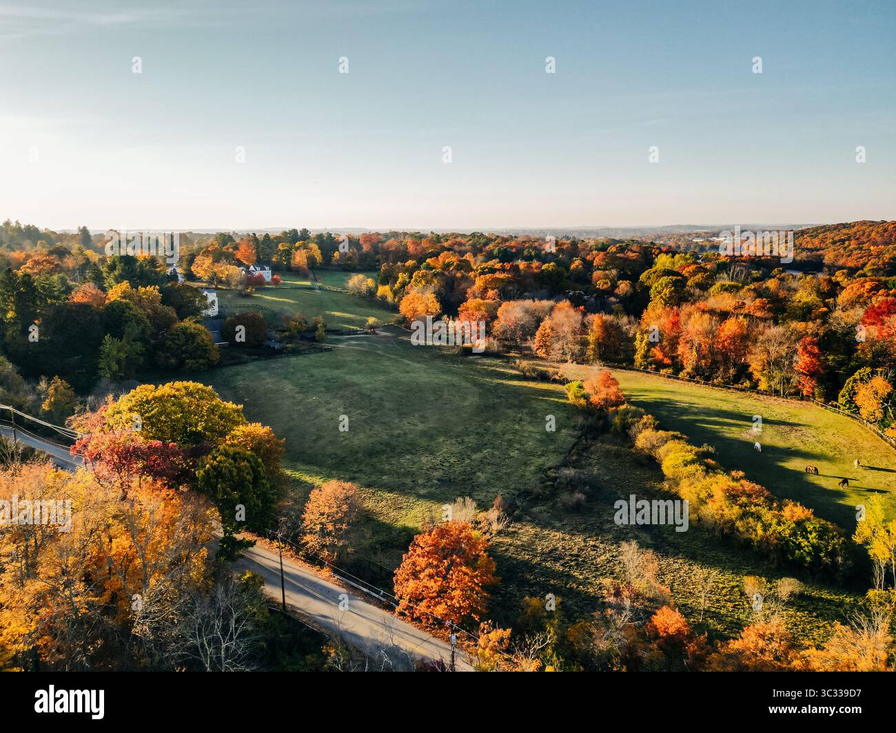 Aerial view of colorful autumn foliage Stock Photo - Alamy