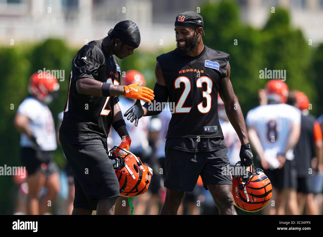 Cincinnati Bengals' Dax Hill (23) celebrates with teammate Jordan ...
