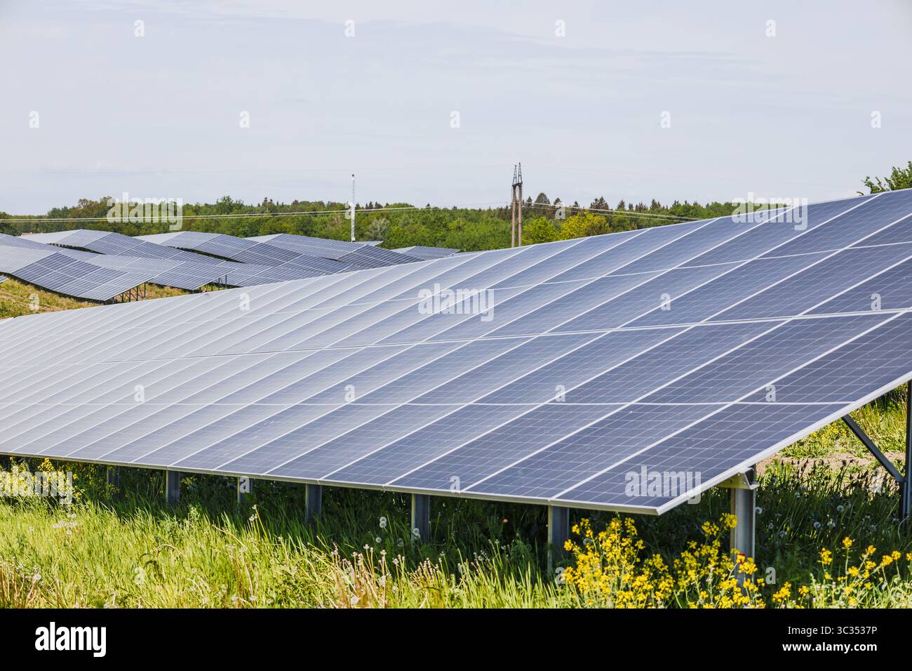 Large Solar Panel Array Generating Renewable Power Stock Photo