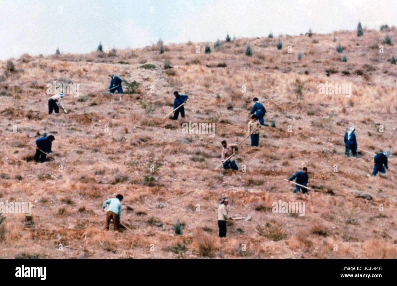 Шұлықтағы брюнетка порно видео Қыздар жігіттерді жыныстық қатынас үшін таңдайды