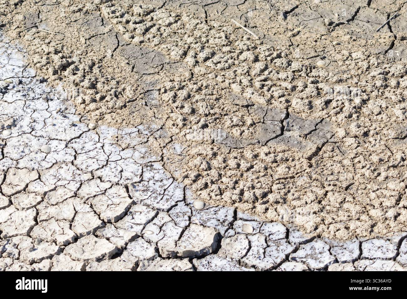 Dry cracked earth texture showing different stages of drought and salt ...