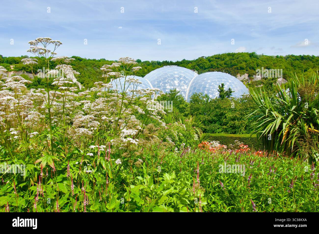 Biomes Cornwall Gardens and the inflated cell structure of the biomes at the Eden ...