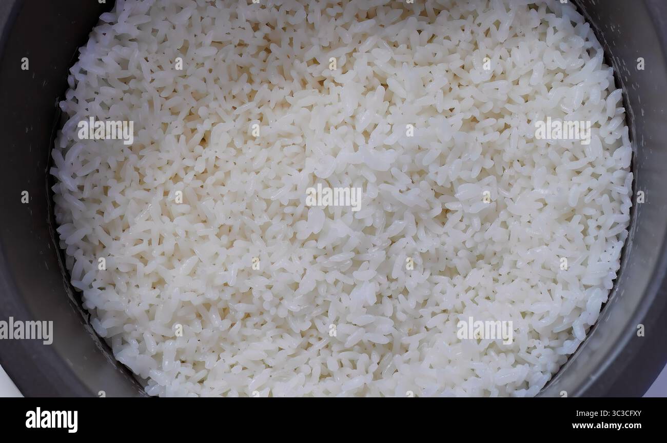 Close up cooked fluffy Japanese white rice on the white ladle ...