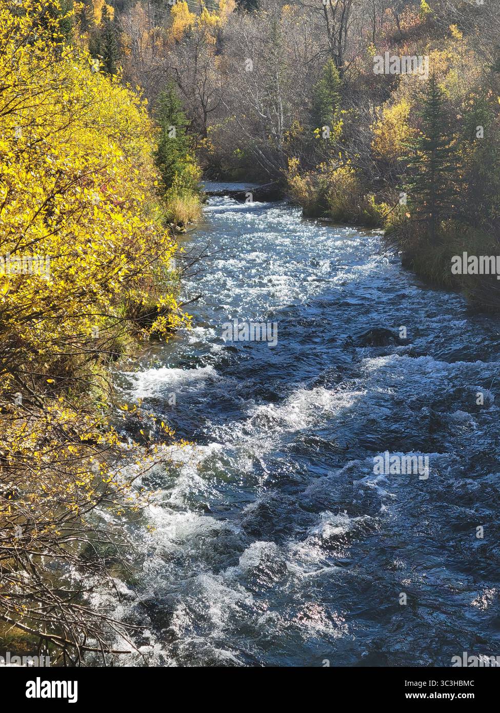 A beautiful, clear day in Spearfish Canyon, South Dakota that showcases that changing of the seasons and rushing mountain streams. - Smartphone Captured Stock Image