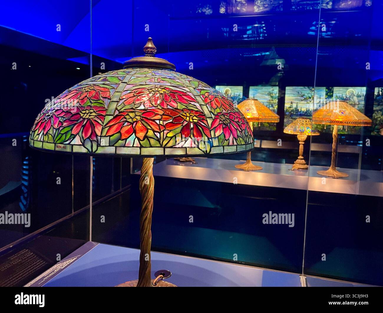 The New York Historical Society Museum and Library is located on Central Park West, New York City, USA  2025 - Smartphone Captured Stock Image The New York Historical Society Museum and Library is located on Central Park West, New York City, USA  2025 - Smartphone Captured Stock Image