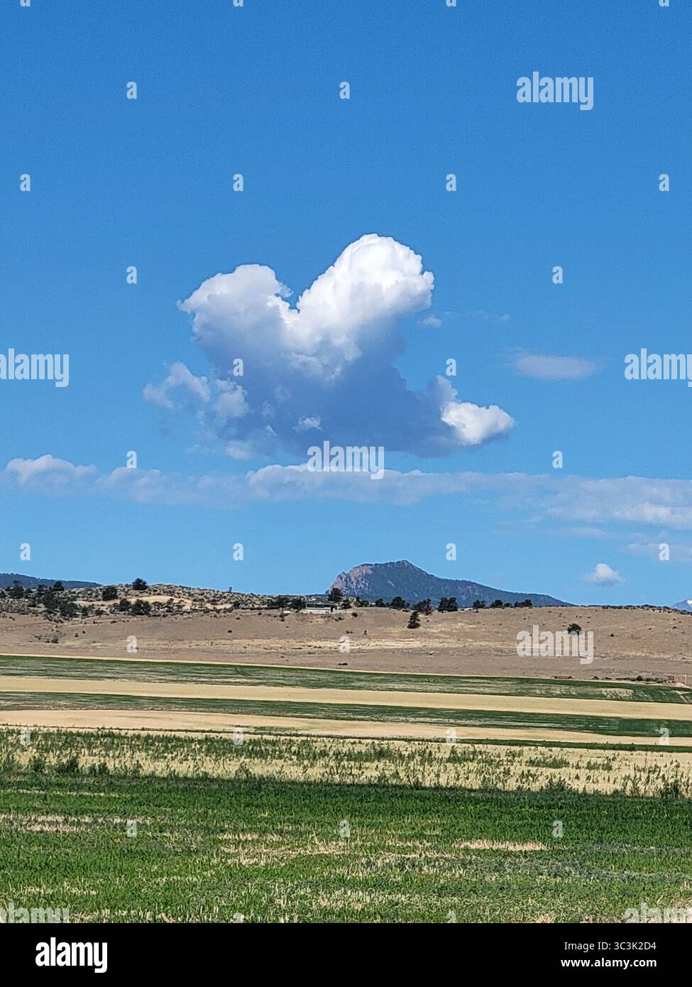 A  fluffy heart cloud floats over the city of love,Loveland Colorado on a warm summer day in the foothills of the mountains, showing support to lovers. - Smartphone Captured Stock Image