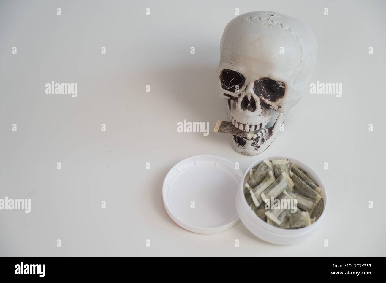 skull chewing tobacco Skull Chewing Tobacco on a White Table Stock Photo