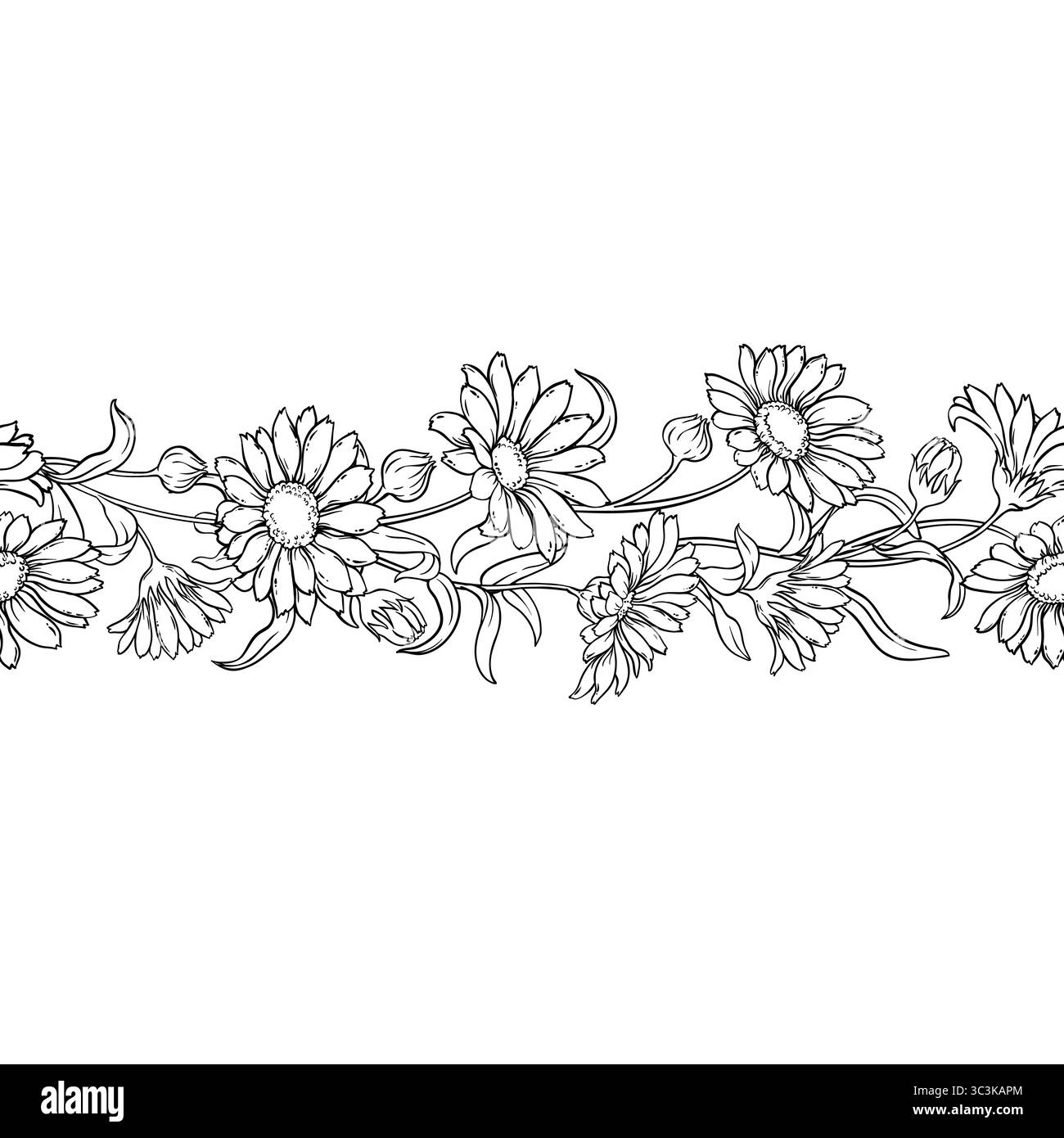 Calendula Outline Horizontal Seamless Pattern. Stock Vector