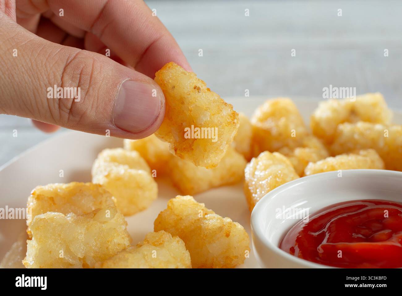 A view of a hand holding a single tater tot. Stock Photo