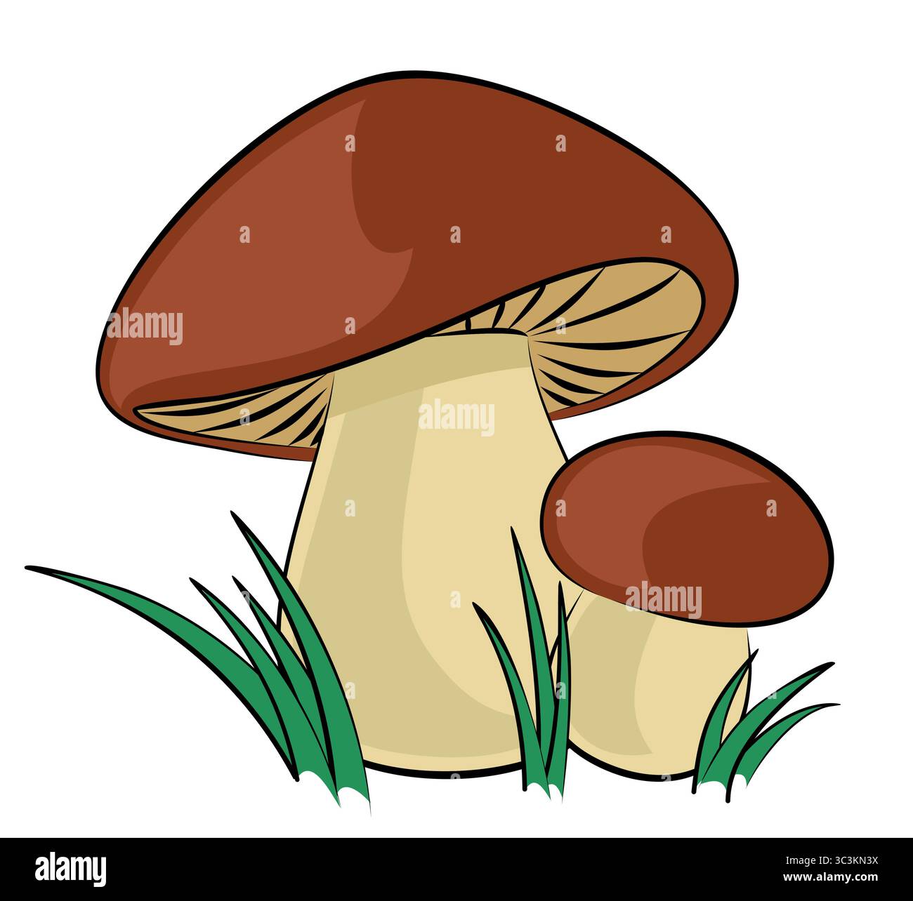 Forest mushrooms with a green grass. Stock Vector