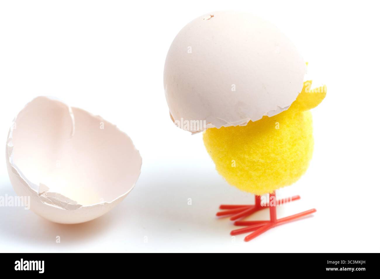 Chicken and eggshell isolated on white background. Easter holiday concept Stock Photo