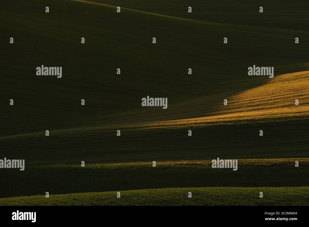 Serene pastoral scene unfolds hi-res stock photography and images - Alamy