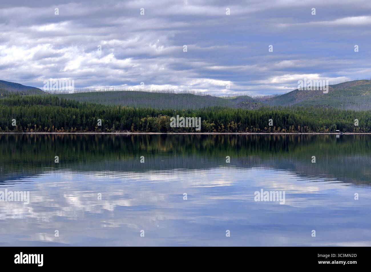 Sunlight dapples a forested ridge mirrored in Lake McDonald’s calm waters beneath clouds, inviting exploration of Glacier National Park’s wild beauty. Stock Photo