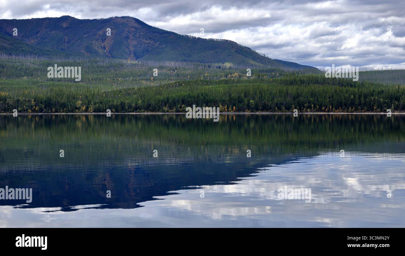 Glassy waters of Lake McDonald mirror a forested ridge under dramatic clouds, inviting exploration of Glacier National Park’s vast serene wilderness!! Stock Photo