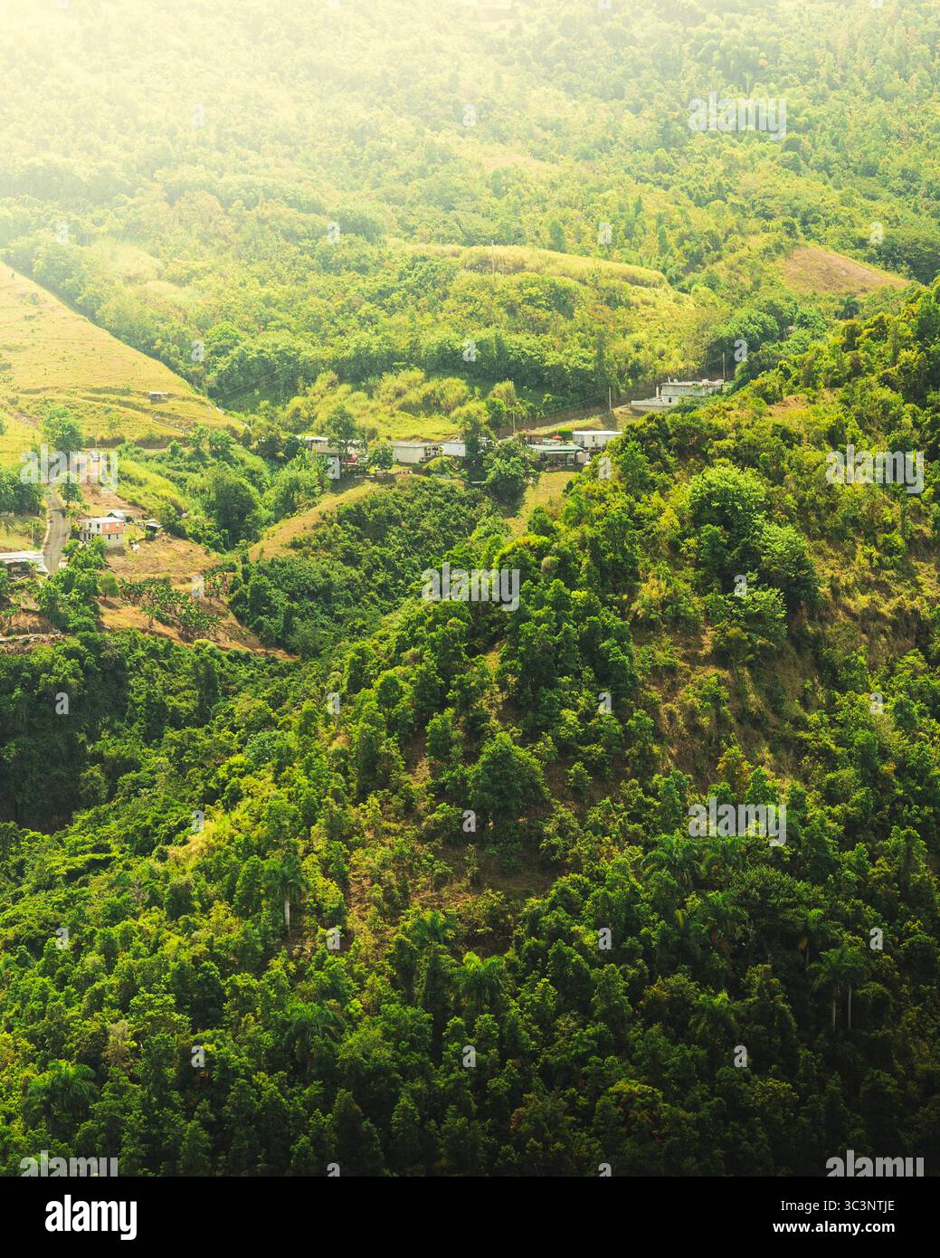 Aerial view of lush green hills with scattered houses and winding roads ...