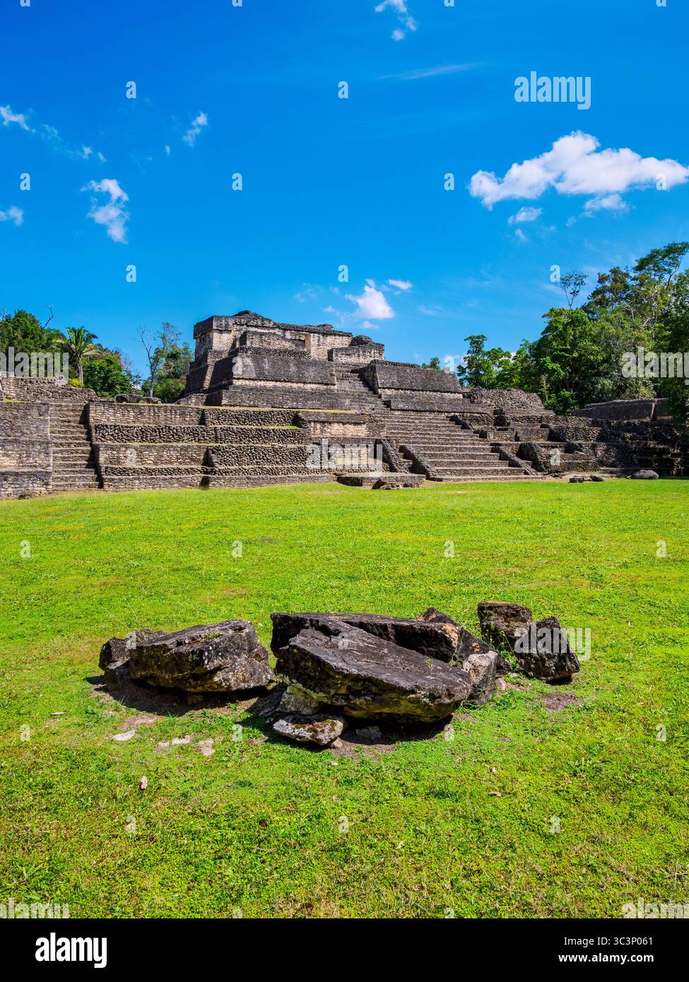 Temple of the Wooden Lintel, Plaza A, Caracol Archaeological Site, Cayo District, Belize Stock Photo
