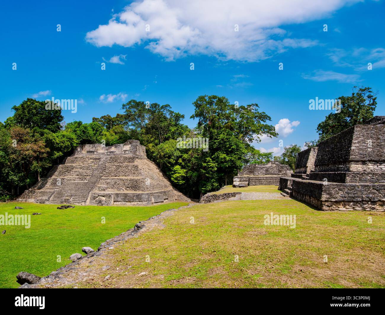 Mayan Ruins at Plaza A, Caracol Archaeological Site, Cayo District, Belize Stock Photo