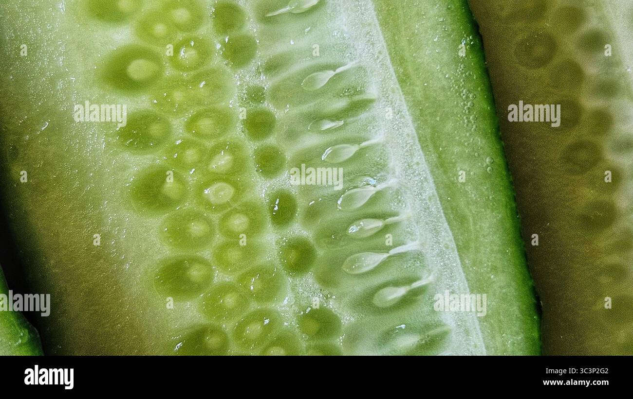 Close-Up of Fresh Cucumber Slices with Water Droplets - Smartphone Captured Stock Image