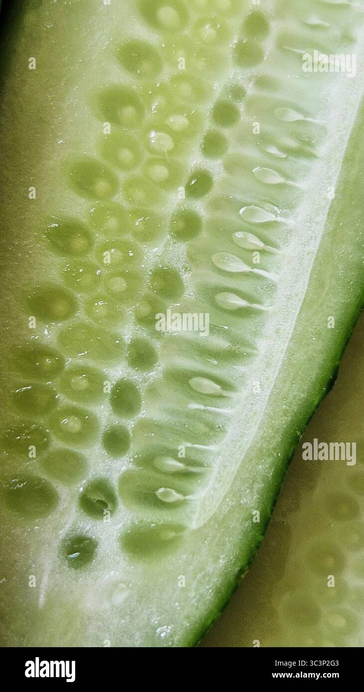 Close-Up of Fresh Cucumber Slices with Water Droplets - Smartphone Captured Stock Image