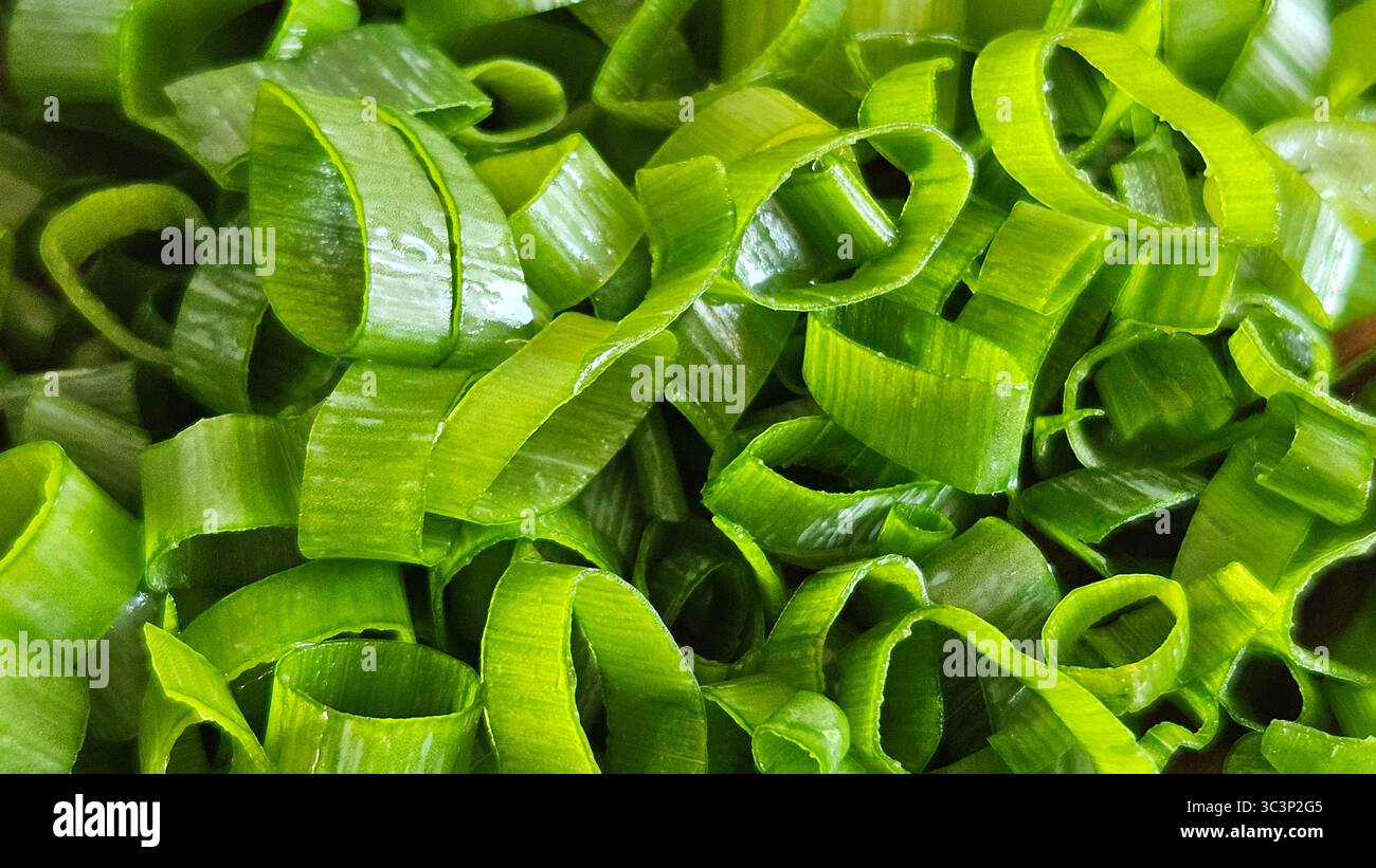 Freshly Chopped Green Onions – Macro Close-Up of Spring Onion Slices - Smartphone Captured Stock Image Freshly Chopped Green Onions – Macro Close-Up of Spring Onion Slices - Smartphone Captured Stock Image